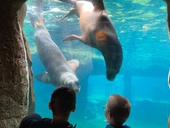 Zoo am Meer - Ausflug nach Bremerhaven