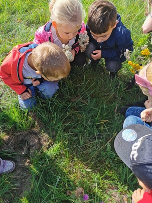 Kinder spielen im Gras