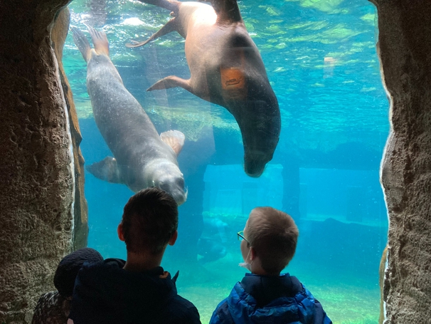 Tiere hautnah erleben im Zoo Bremerhaven