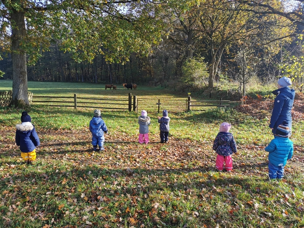 Kinder auf Wiese