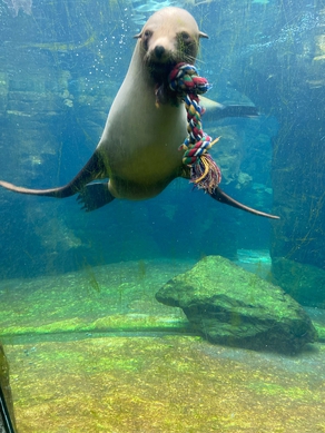 Zoo am Meer - Ausflug nach Bremerhaven - Lebenshilfe Walsrode Zoo am Meer - Ausflug nach Bremerhaven - Lebenshilfe Walsrode