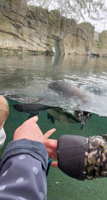 Zoo am Meer - Ausflug nach Bremerhaven - Lebenshilfe Walsrode Zoo am Meer - Ausflug nach Bremerhaven - Lebenshilfe Walsrode